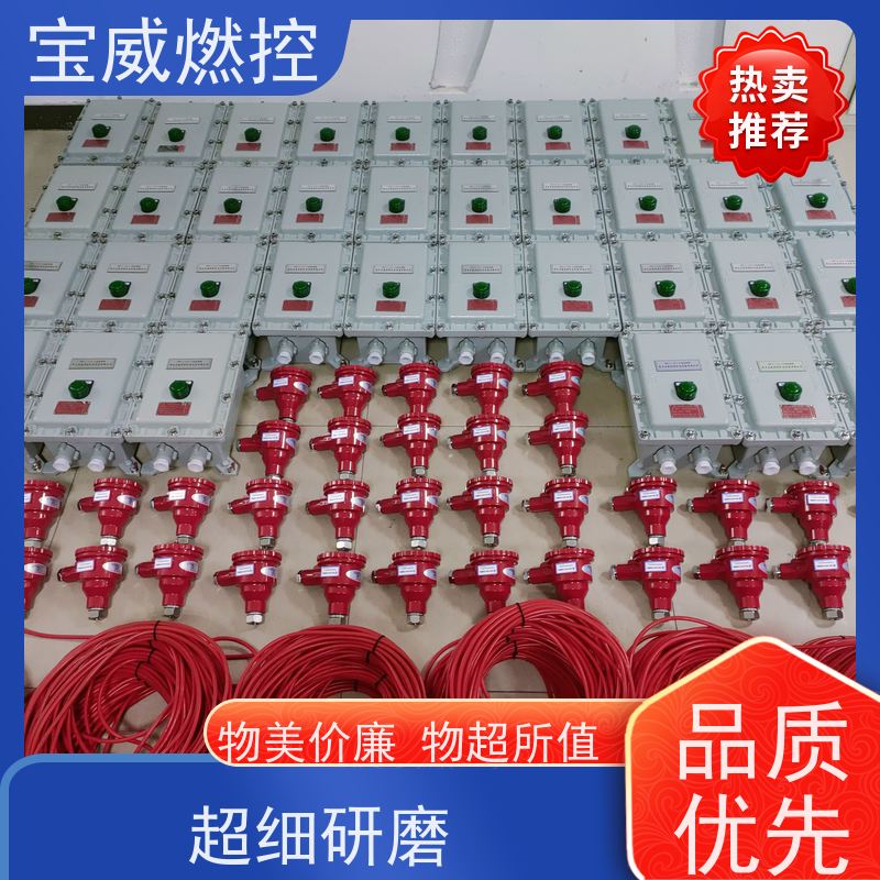 宝威燃控 在线火焰检测仪 远距离防爆 生产加工发货速度快 灵敏度可调