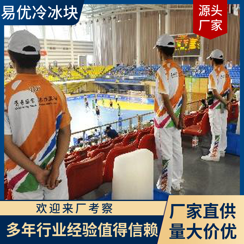 易优冷 海鲜冷链保鲜专用 工业食品级 大冰块 极速送货上门