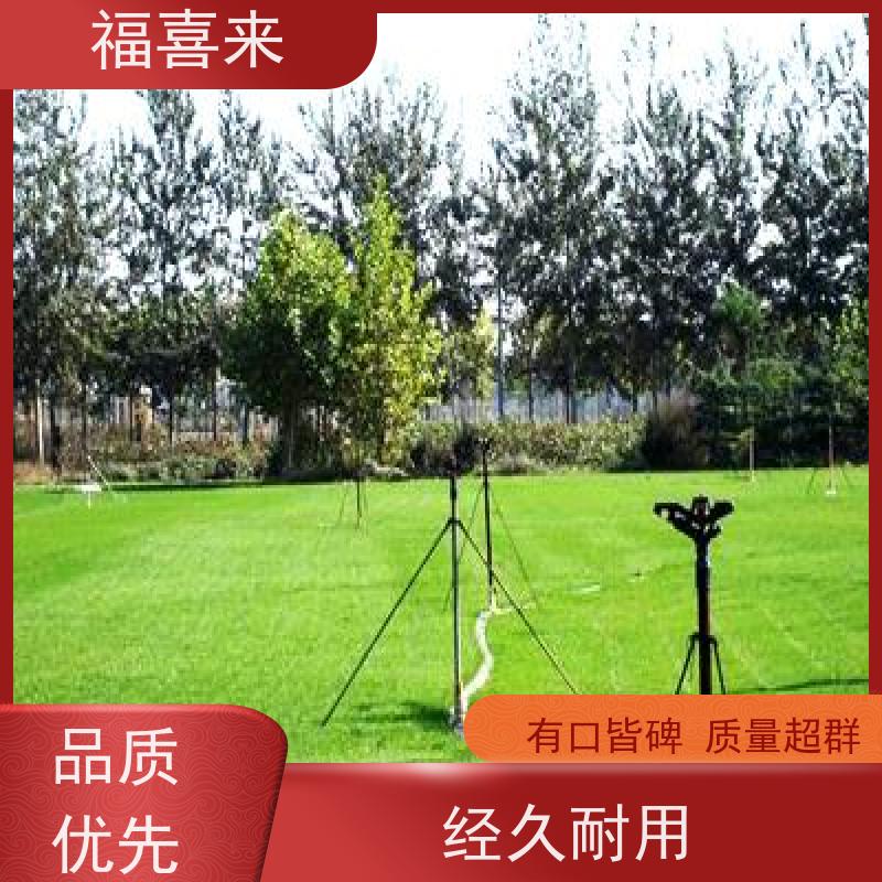 福喜来苗圃 草皮批发 公园绿化混播草坪 基地供应
