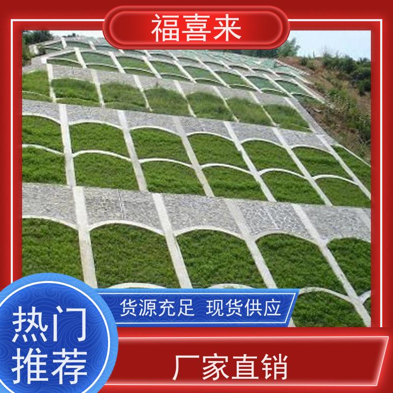 福喜来苗圃 马尼拉草皮 公园绿化混播草坪 常绿耐踩踏