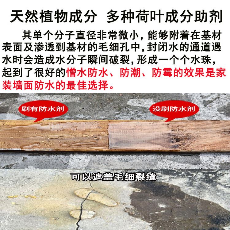  透明防水剂 可抑制10种以上的霉菌生长 附着力强 库存充足