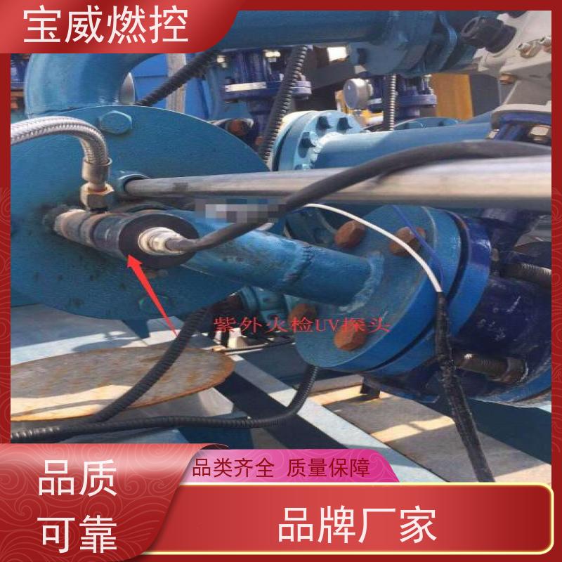 宝威燃控 锅炉火焰检测器 高灵敏度防爆型 可非标加工 熄火延时1-3S