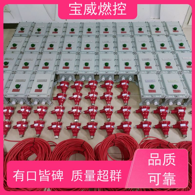 宝威燃控 厂家供货常备库存 锅炉火焰检测器 高灵敏度防爆型