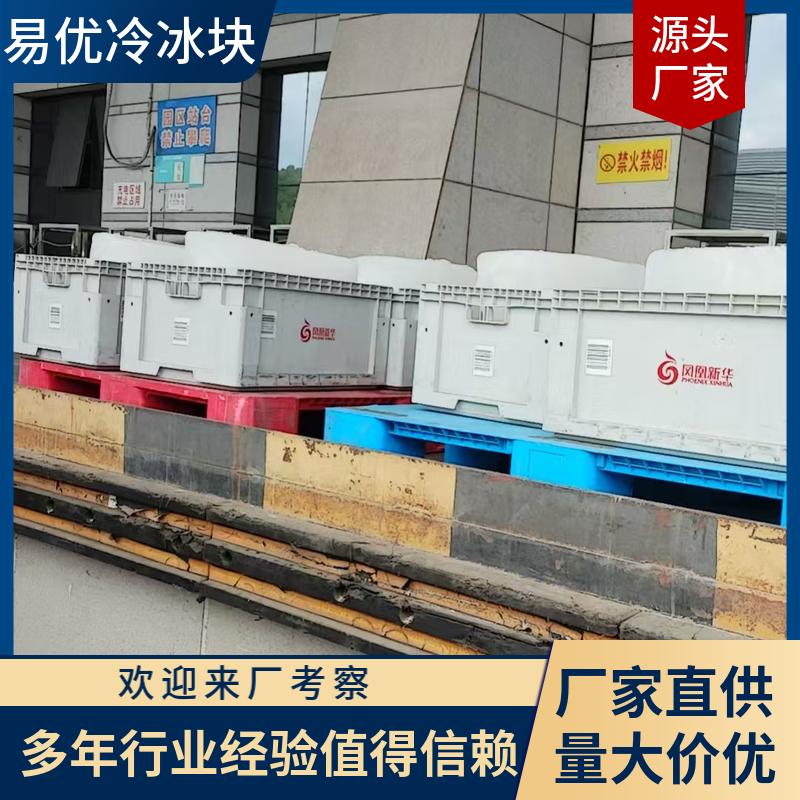 易优冷 大冰块 工业食品级 多场景降暑应用 蔬菜水果配送专用