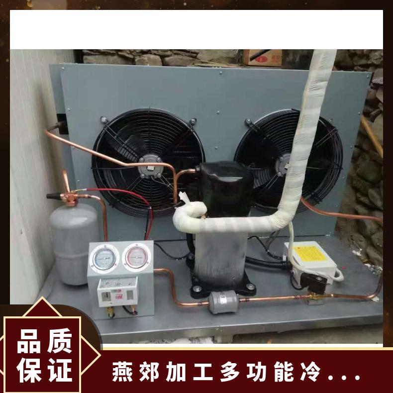 燕郊加工多功能冷库式 电源电压380V 有 比泽尔15p 风冷/铝排
