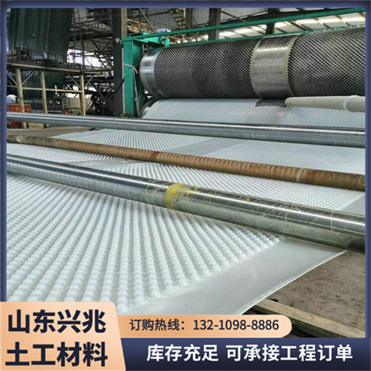 国标吊带防水板 厂家直发 兴兆环境隧道地铁涵洞整体式白色