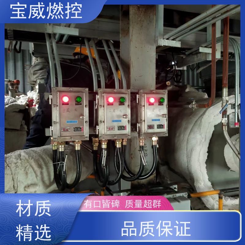宝威燃控 可非标加工 开关量信号输出 工业炉膛火焰监测器