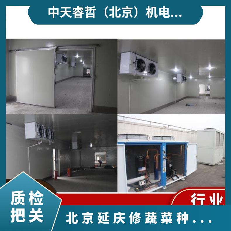 修蔬菜种子保鲜 定制冷库 型号xl-lk002 种类多