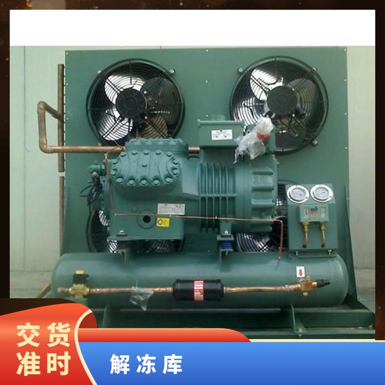 肉禽速冻库 解冻保养 用途广 sus304不锈钢 2吨 PLC全自动