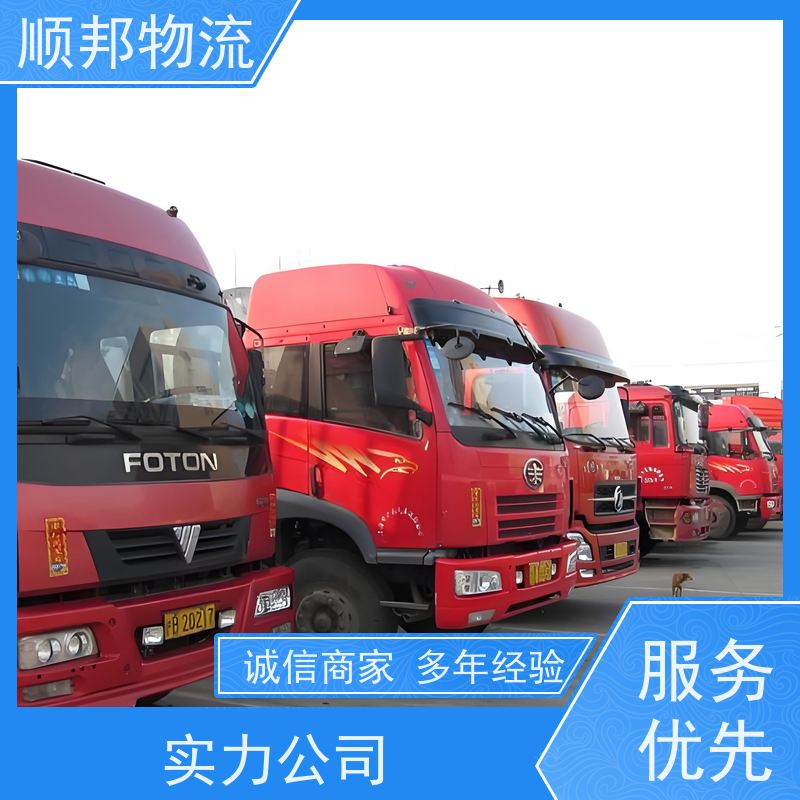广州到冷链运输 随时接单专线打包整车货运 普洱