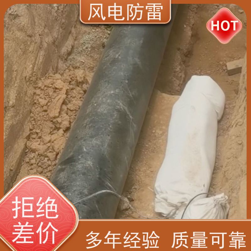 风电防雷 按需定制 适用多种防腐工程 便携式参比电极