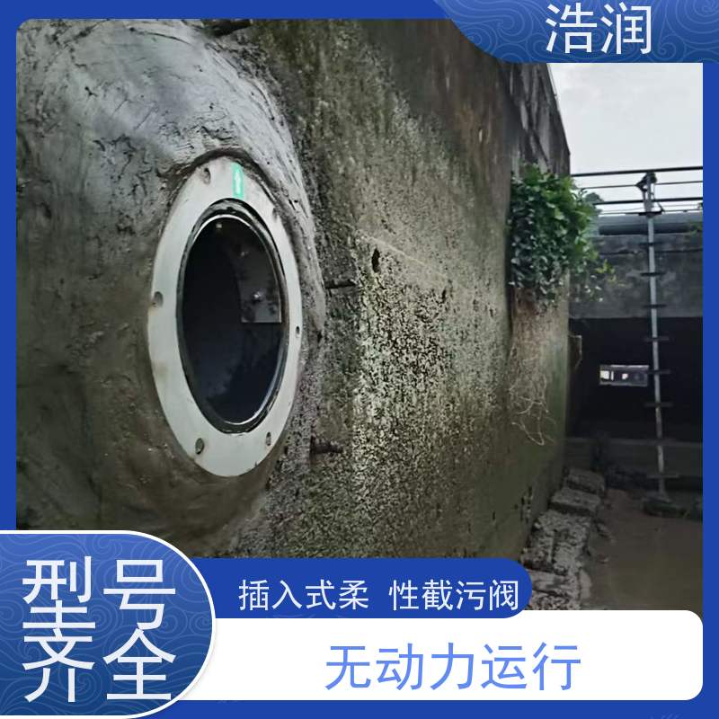浩润 不锈钢低阻力倒流防止器 无动力运行 品质可信