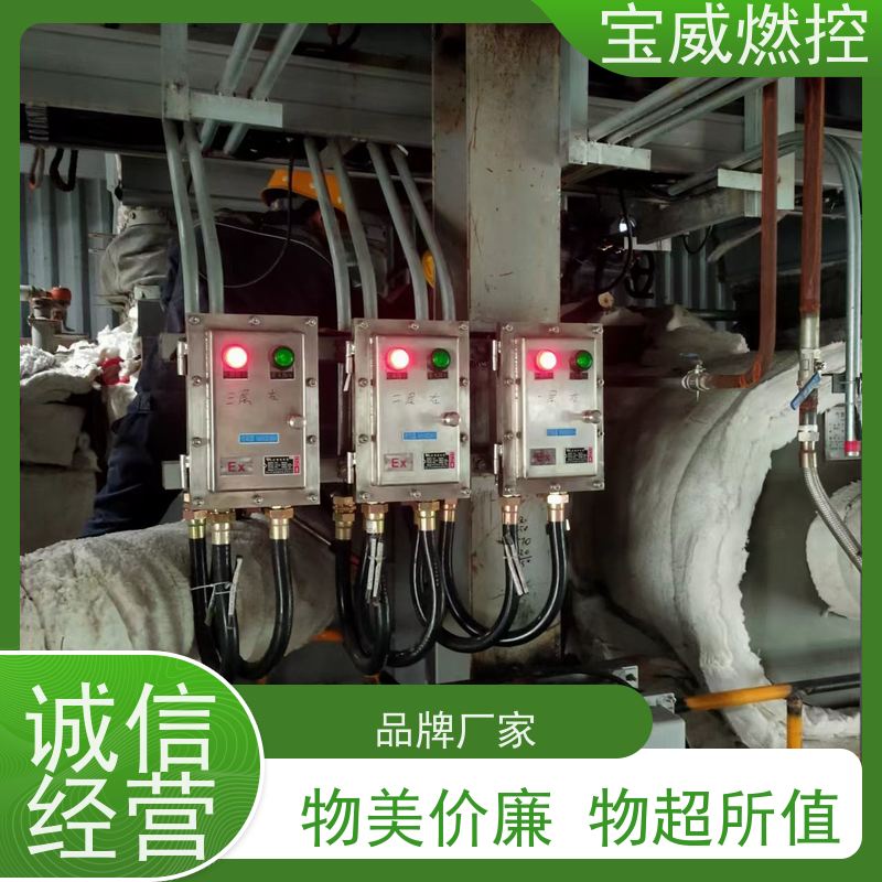 宝威燃控 厂家供货常备库存 2868光敏管 远距离防爆 工业火焰检测设备