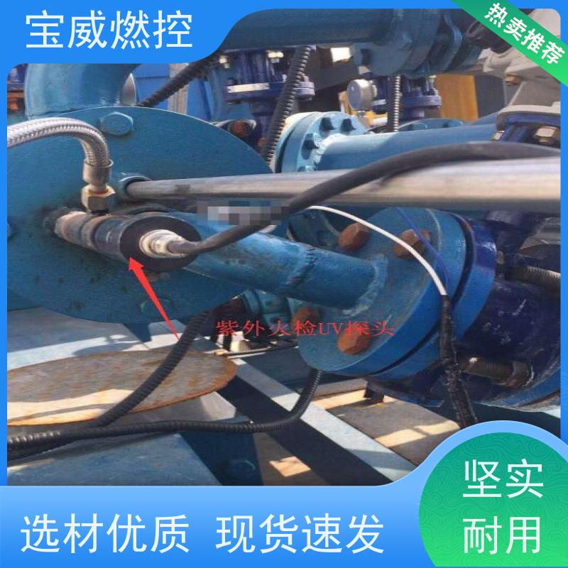 宝威燃控 在线火焰检测仪 厂家供货常备库存 灵敏度可调
