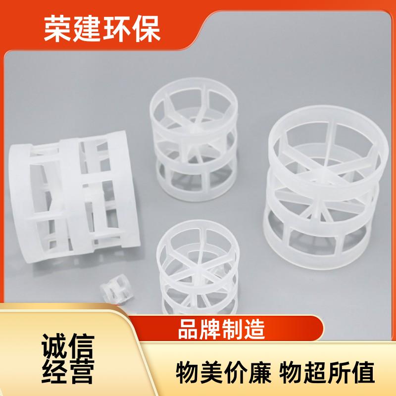 塑料鲍尔环 PP 材质 传质效率高 耐腐低压降 化工塔散堆填料现货