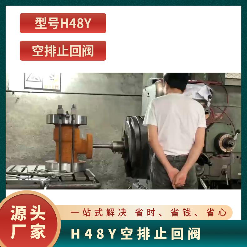 双华阀门 空排止回阀 型号H48Y 高温高压 耐磨 电站专业 法兰连接