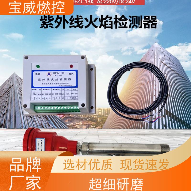宝威燃控 分体式 热风炉火焰检测器 220V供电输出开关量信号 快速发货