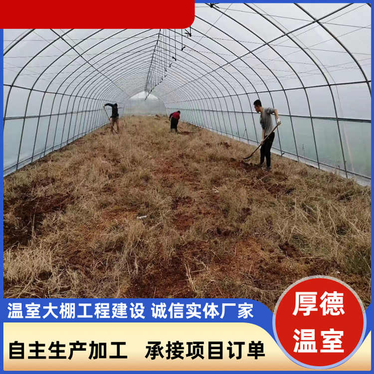 厚德 实体工厂团队承接项目 花卉栽培塑料单体大棚 设计施工耐寒骨架