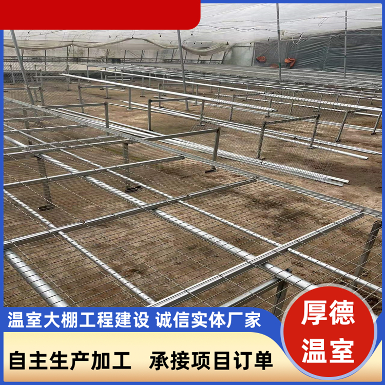 厚德 实体工厂团队承接项目 花卉栽培塑料单体大棚 设计施工耐寒骨架