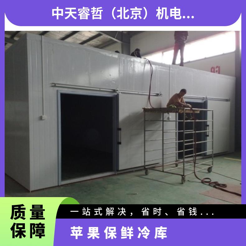 型号xl-lk002 种类多 功率11 建苹果保鲜冷库一平方米