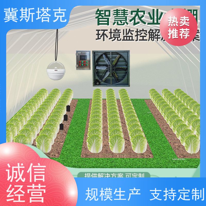 STK-ZH 现代农业 大棚监测控制一体化设备 质量稳定