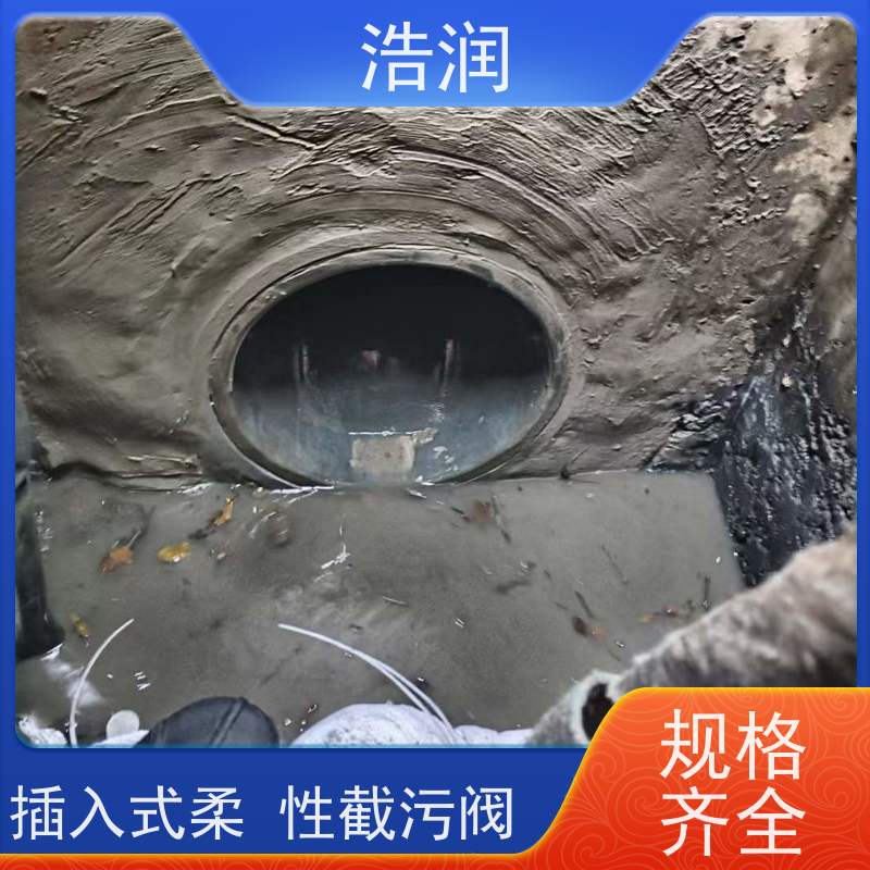 浩润 管中型柔性防倒灌装置 内置式安装 性价比高