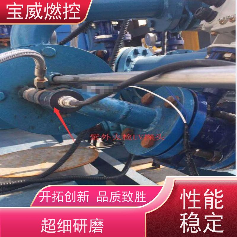 宝威燃控 远距离防爆 厂家供货常备库存 工业炉燃烧器火焰监测器