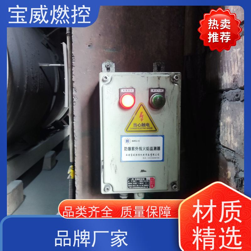 宝威燃控 厂家供货常备库存 灵敏度可调 工业火焰检测设备