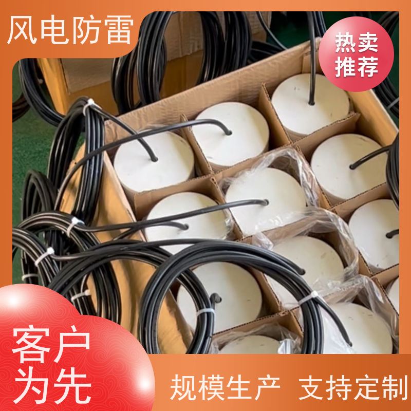 风电防雷 多规格 便携带 适用多种防腐工程 长效参比电极