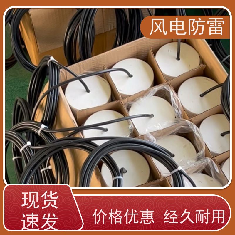 风电防雷 适用多种防腐工程 便携式参比电极 规格齐全 厂家出售 