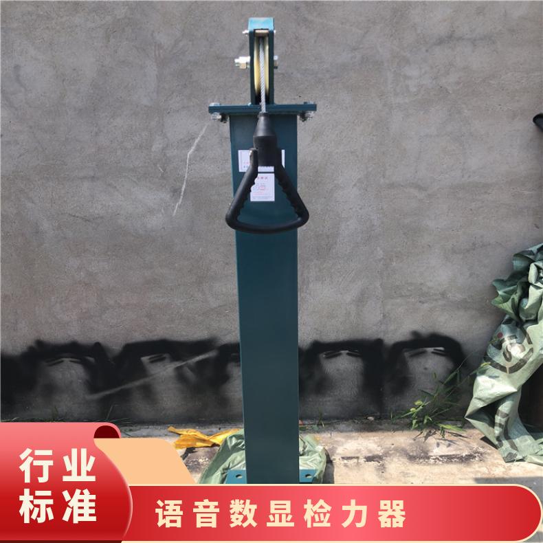 不锈钢碳钢材质语音数显检力 器YSJ-20煤矿用测力器 耐力比武测定