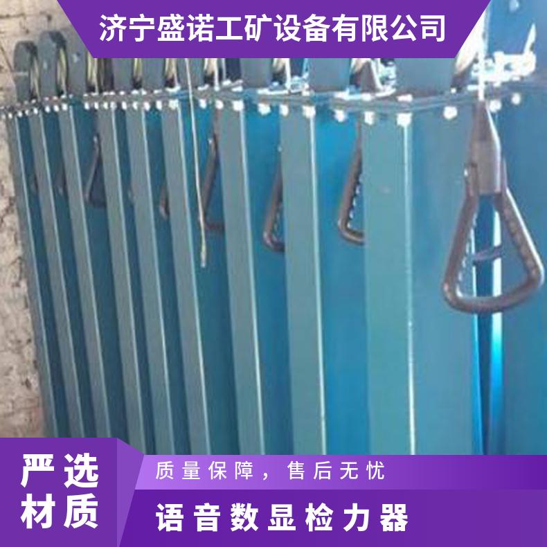 矿用YSJ-20语音数显式检力器 救护队体能训练用 操作简单