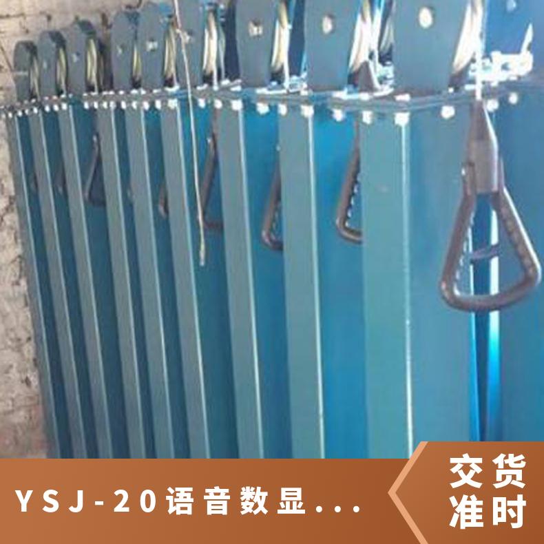 盛诺 矿用YSJ-20语音数显检力器 训练臂力 规格齐全 性能稳定