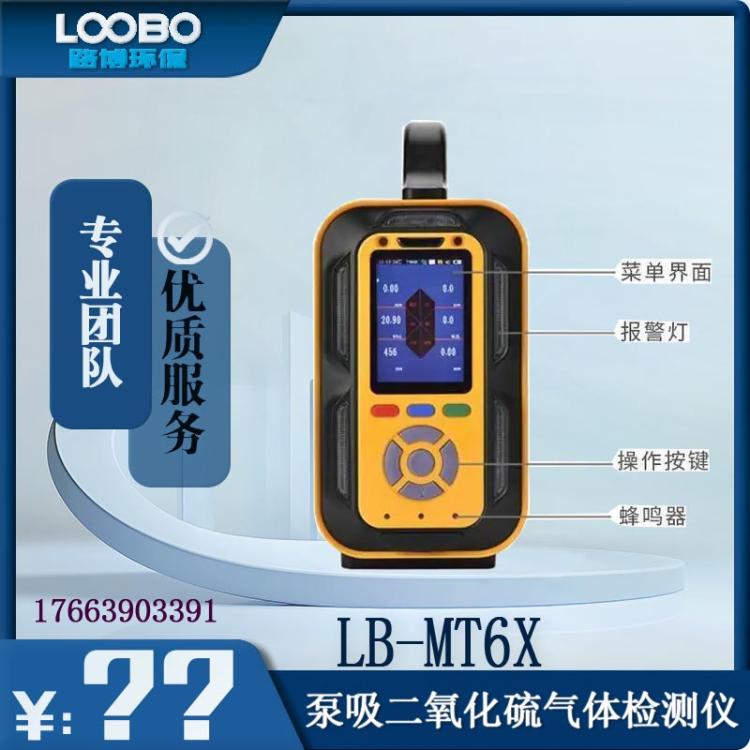 泵吸式二氧化硫气体检测仪 便携式SO2气 体浓度报警器