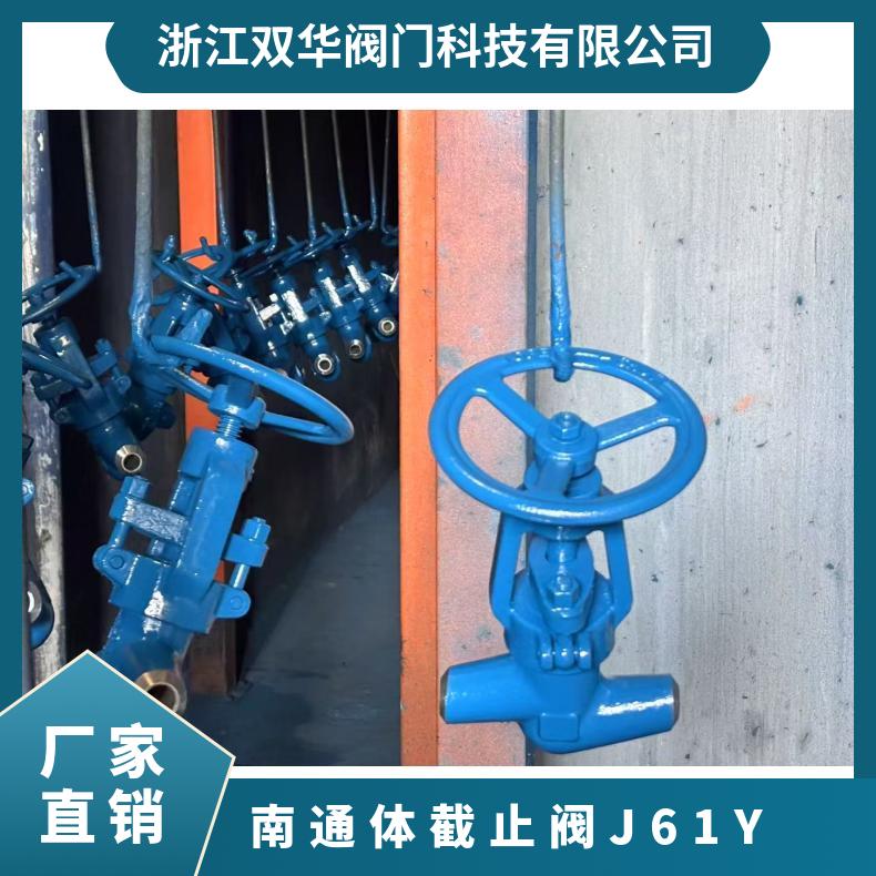 高温高压电站截止阀 J61Y 南通体电站阀 双华阀门 源头厂家