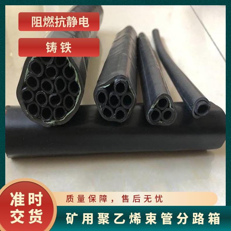 矿用铸铁束管分路箱 阻燃抗静电 24路可选 规格齐全 操作简单