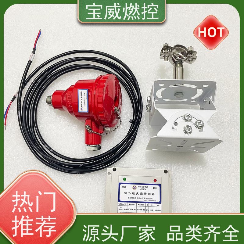 宝威燃控 高灵敏度 导热油炉/加热炉火焰检测器 快速响应