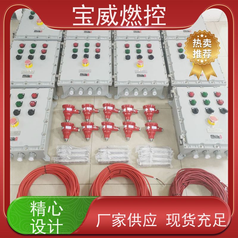 宝威燃控 加热炉 火焰检测熄火保护装置 生产厂家