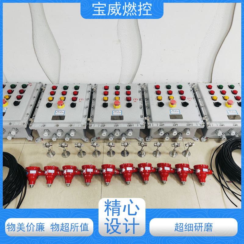 宝威燃控 管式炉 熄火报警仪 快速响应 性能稳定