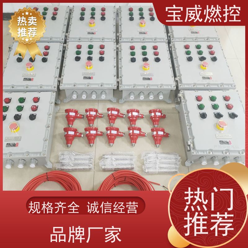 宝威燃控 工业炉 熄火检测控制器 快速响应 性能稳定