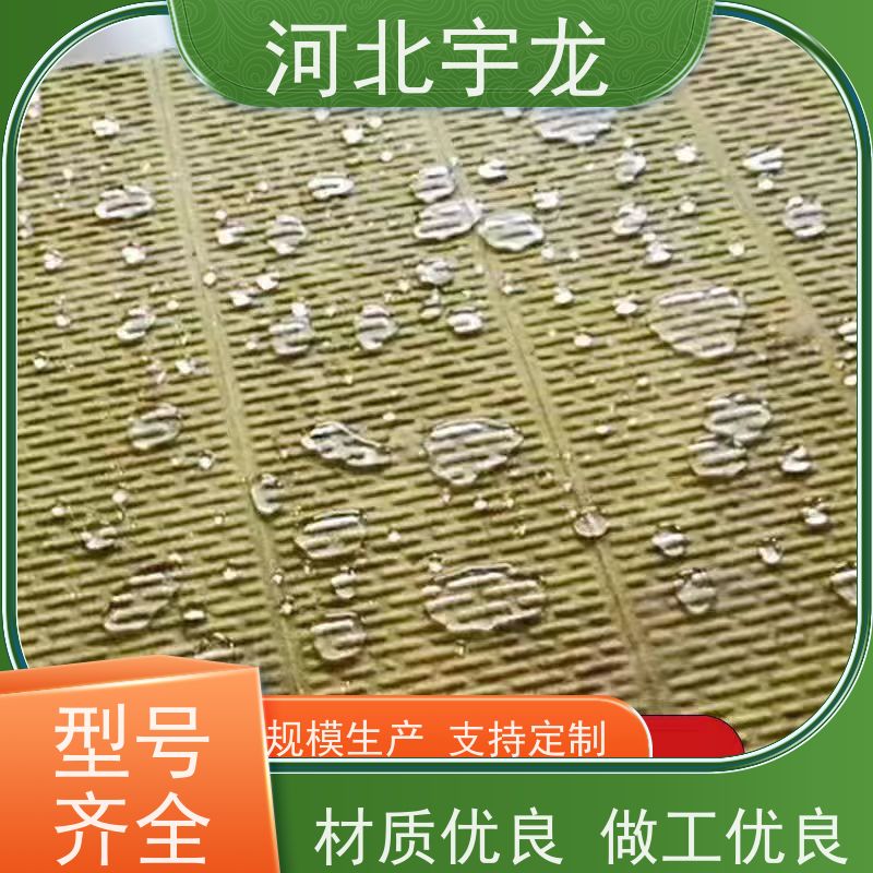 宇龙 建筑外墙 吸水率低 保温隔热 隔音屋顶墙体50mm 