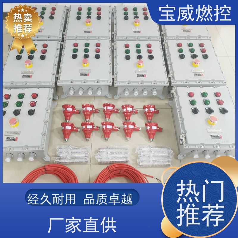 宝威燃控 卧式包 熄火监测报警仪 快速响应 性能稳定