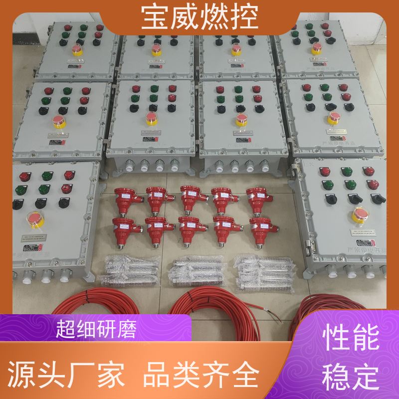 宝威燃控 工业火焰检测设备 可非标加工 开关量信号输出