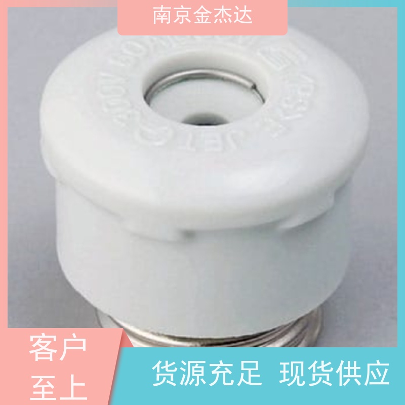 富士电机FGMB-A/S PbF保险丝2A/8A 250V Φ5.220