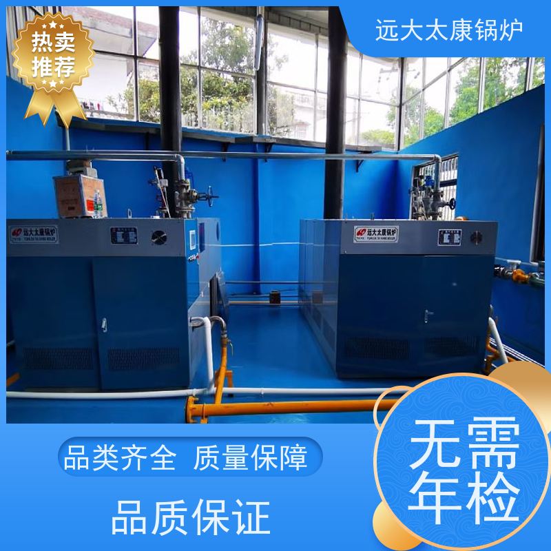 远大太康 2吨 D级燃气蒸汽锅炉 板材加工 免报检 撬装出厂