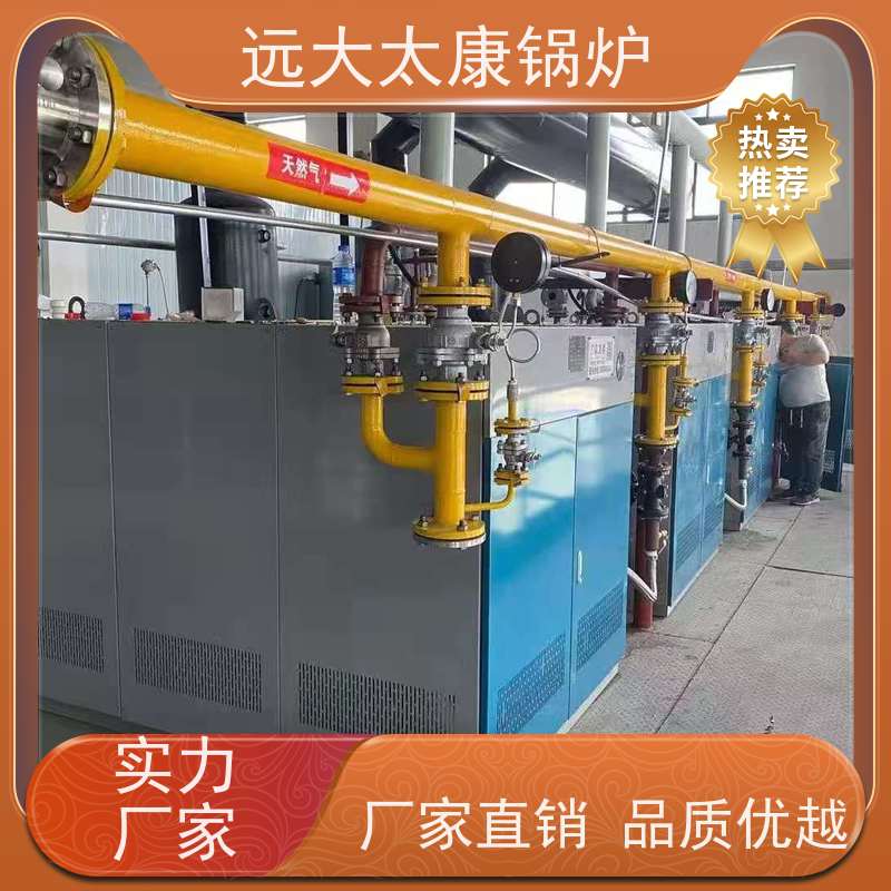 远大太康 3吨 D级燃气蒸汽锅炉 水泥制品养护 免报检 撬装出厂