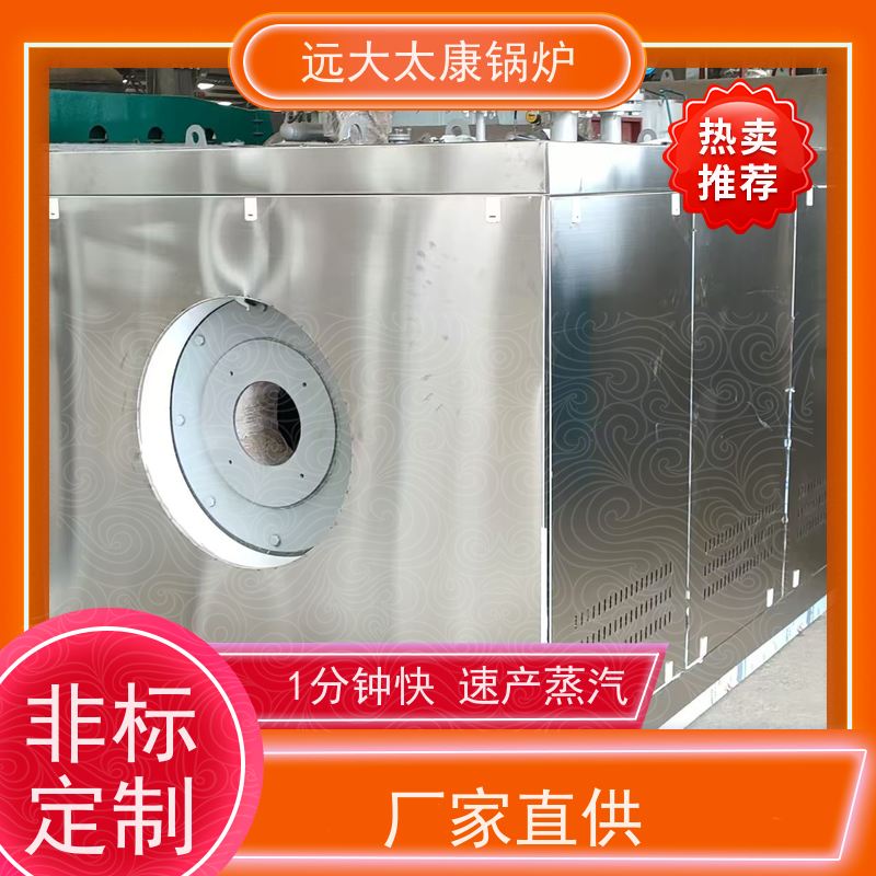 远大太康 3吨 燃气蒸汽发生器 水泥制品养护 不需要办理锅炉使用证