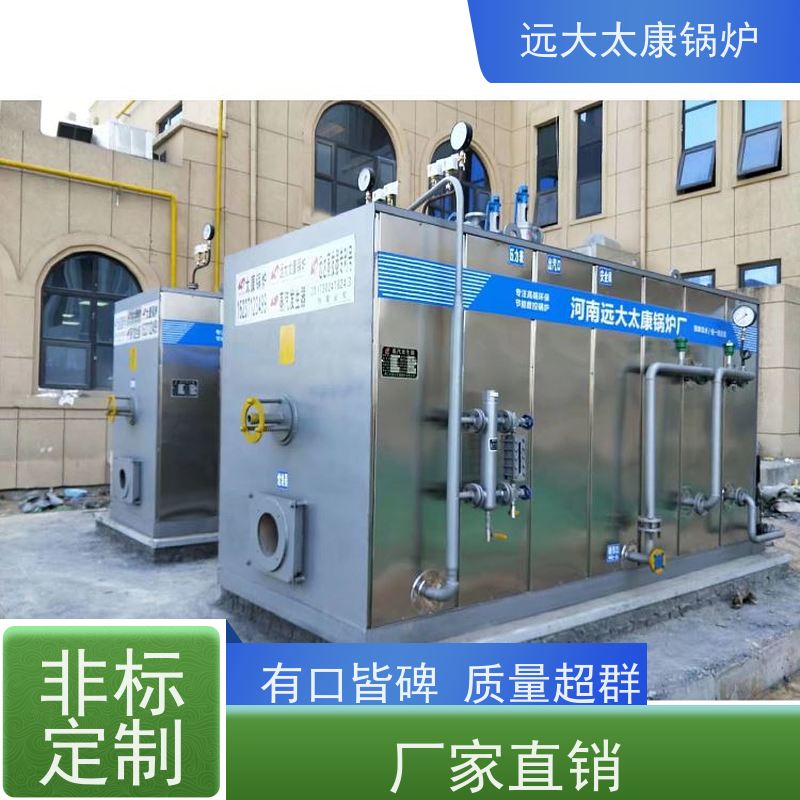 远大太康 1吨 燃气低氮蒸发器 水泥制品养护 免报检 撬装出厂