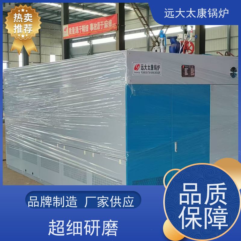 远大太康 4吨 蒸汽发生器 板材加工 D级锅炉标准 容水量＜50L 无需年审