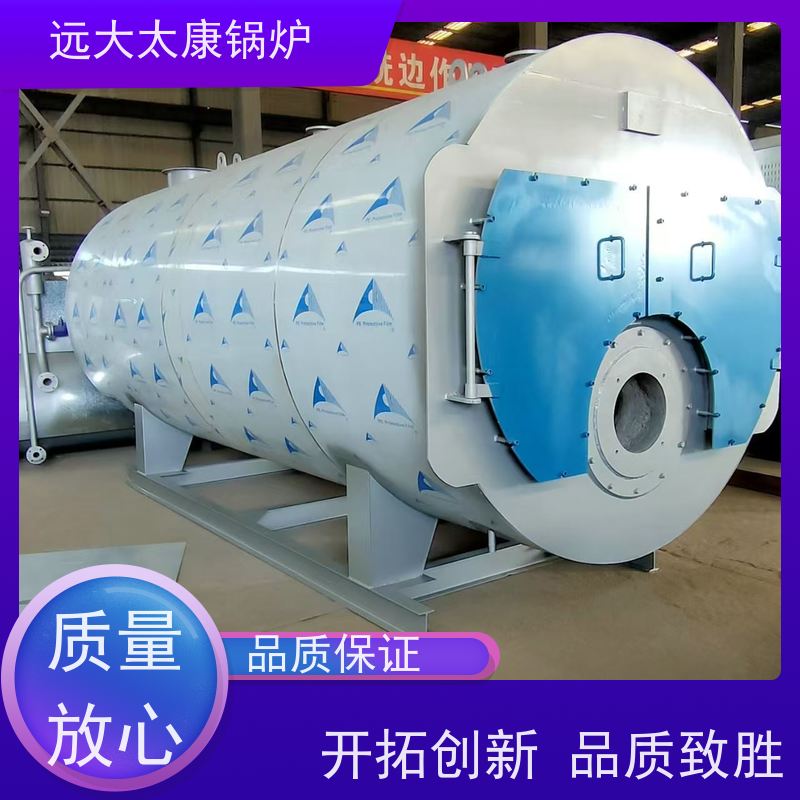 1吨 燃油蒸汽锅炉 压力温度 冷凝低氮排放 远大太康 生物制药 洗涤烫熨